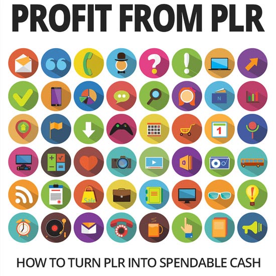Profit From PLR