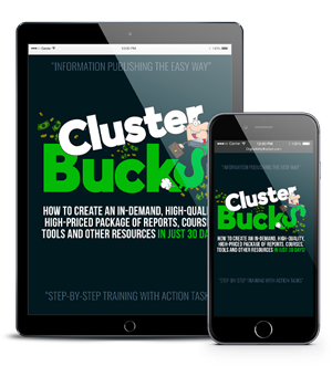 Cluster Bucks Coaching Program