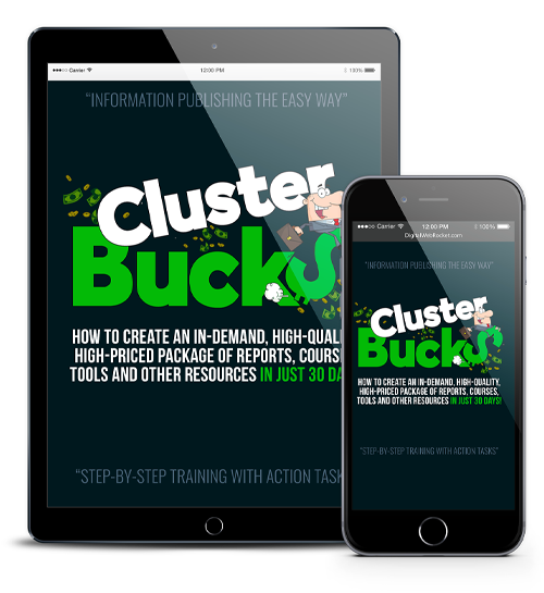 Cluster Bucks Coaching Program