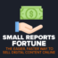 Small Reports Fortune by Simon Hodgkinson